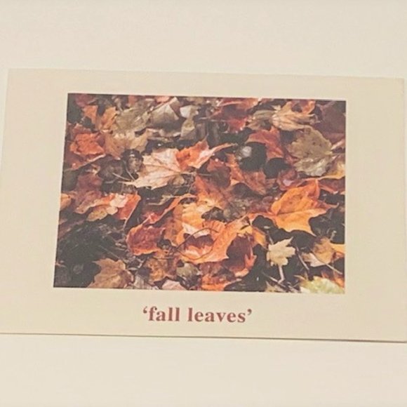Luckies of London CALM CLUB Peace By Piece Fall Leaves Jigsaw Puzzle 500 pieces - Picture 7 of 8